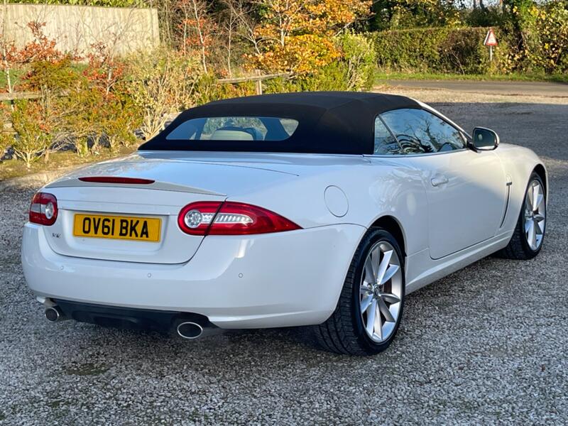 JAGUAR XK