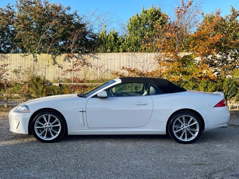 JAGUAR XK