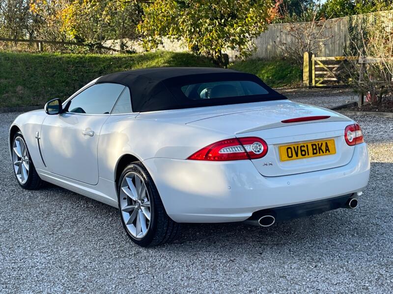 JAGUAR XK