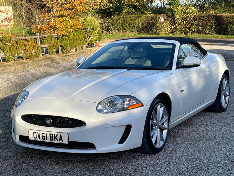 JAGUAR XK
